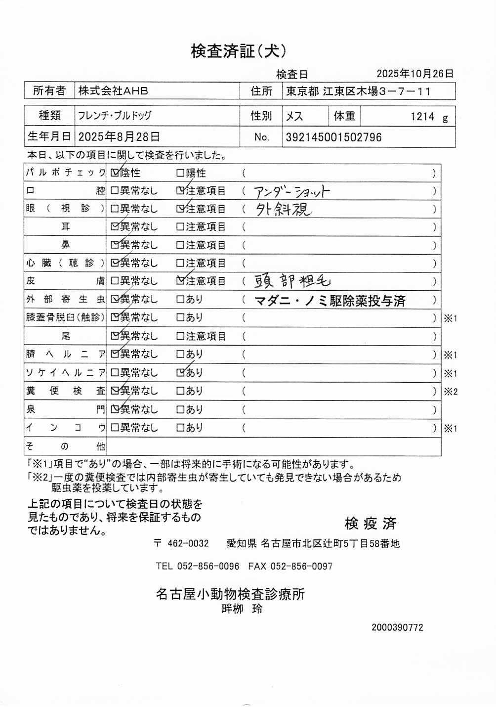 フレンチ・ブルドッグ