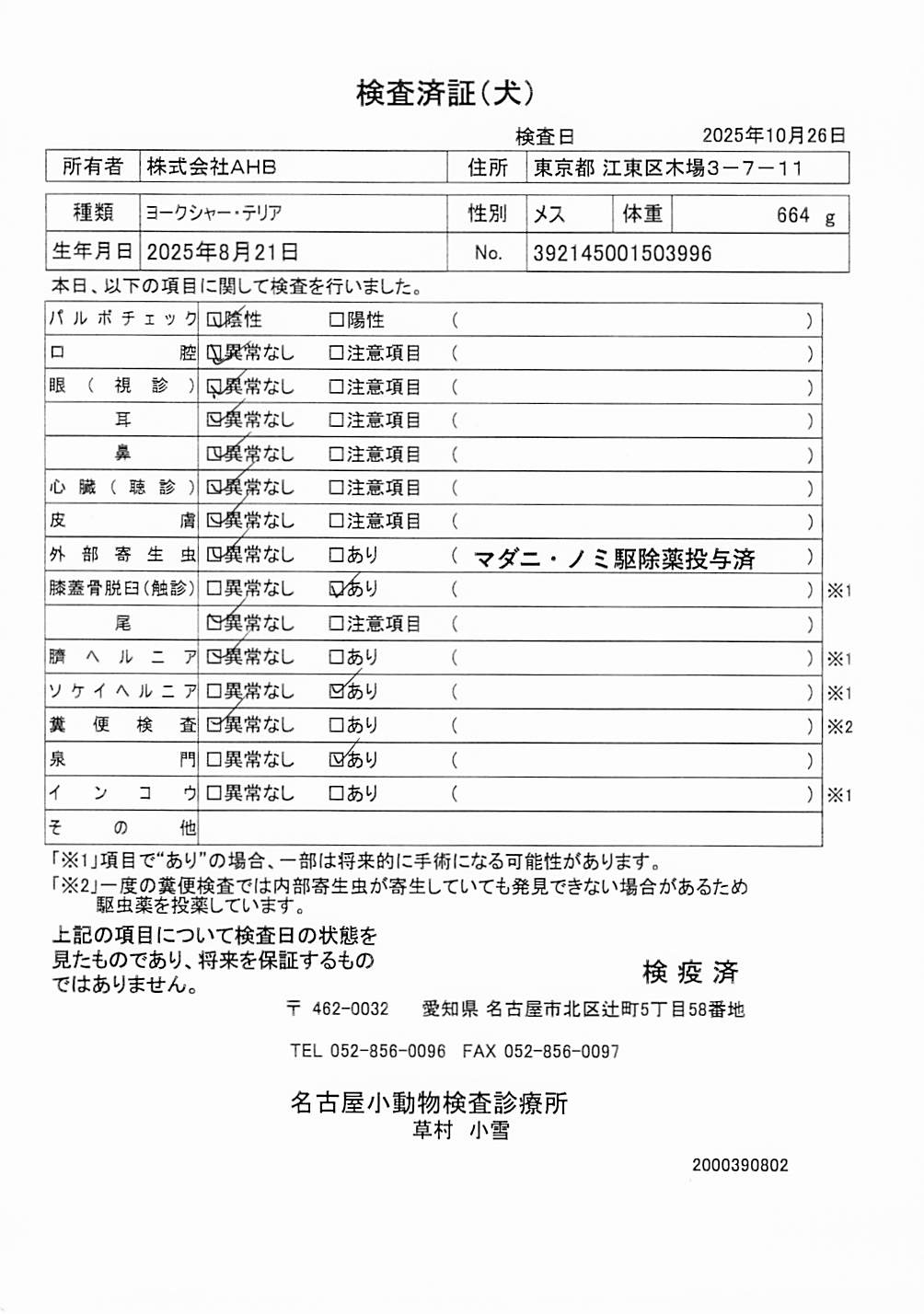 ヨークシャー・テリア