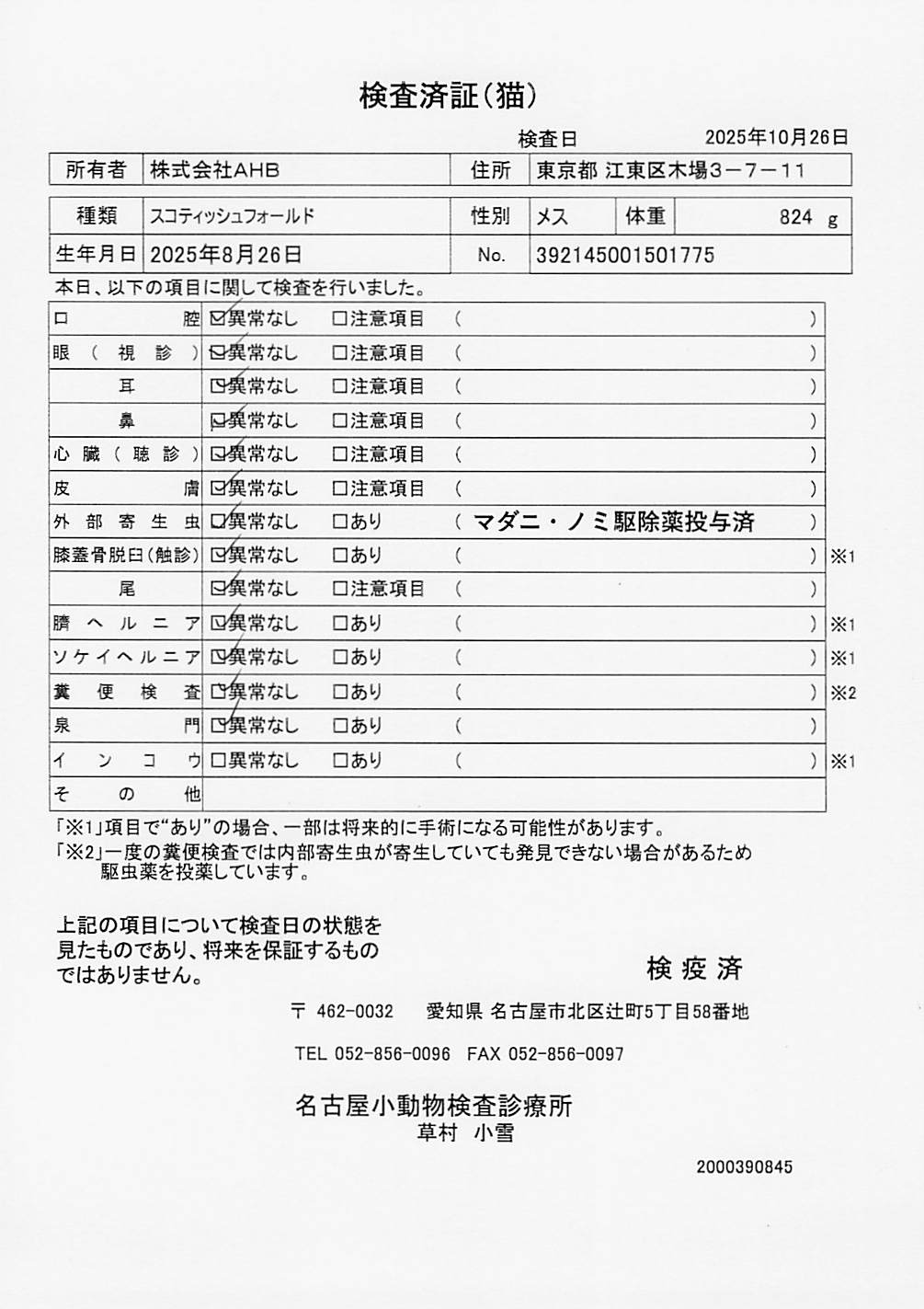 スコティッシュフォールド