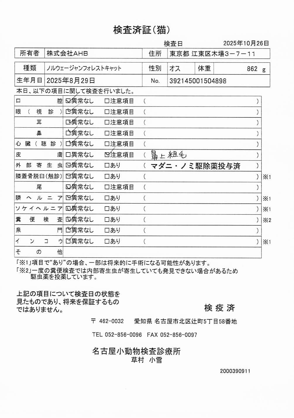 ノルウェージャンフォレストキャット