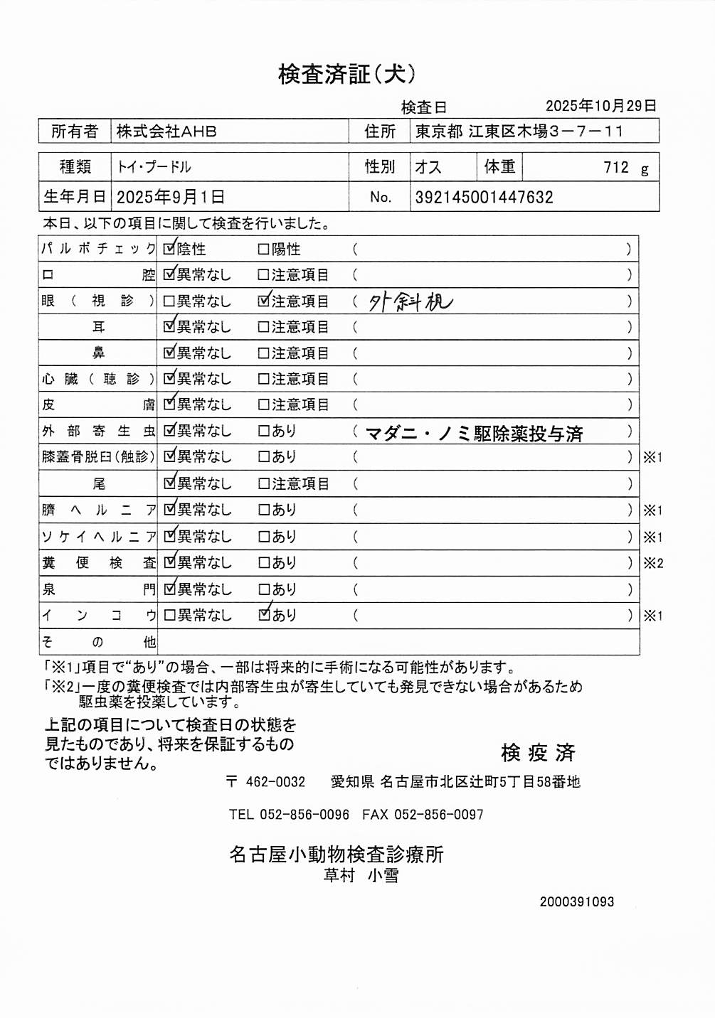 トイ・プードル