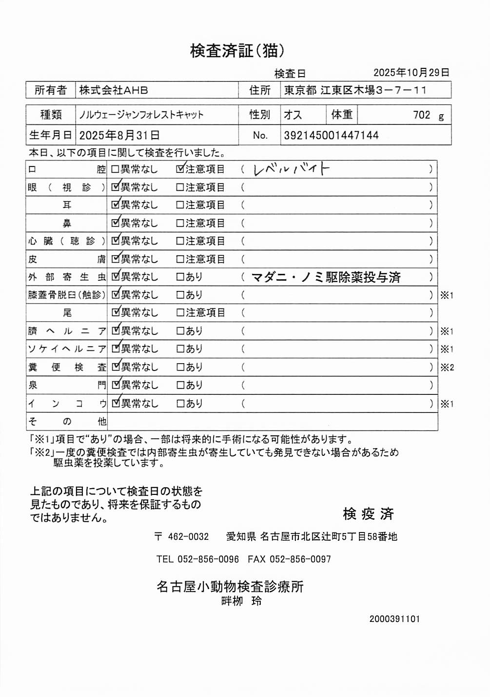 ノルウェージャンフォレストキャット