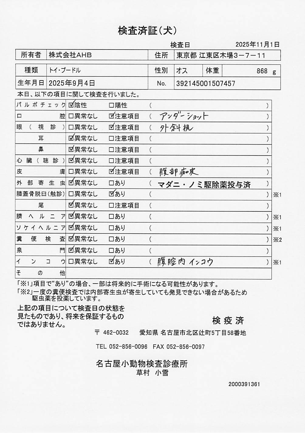 トイ・プードル