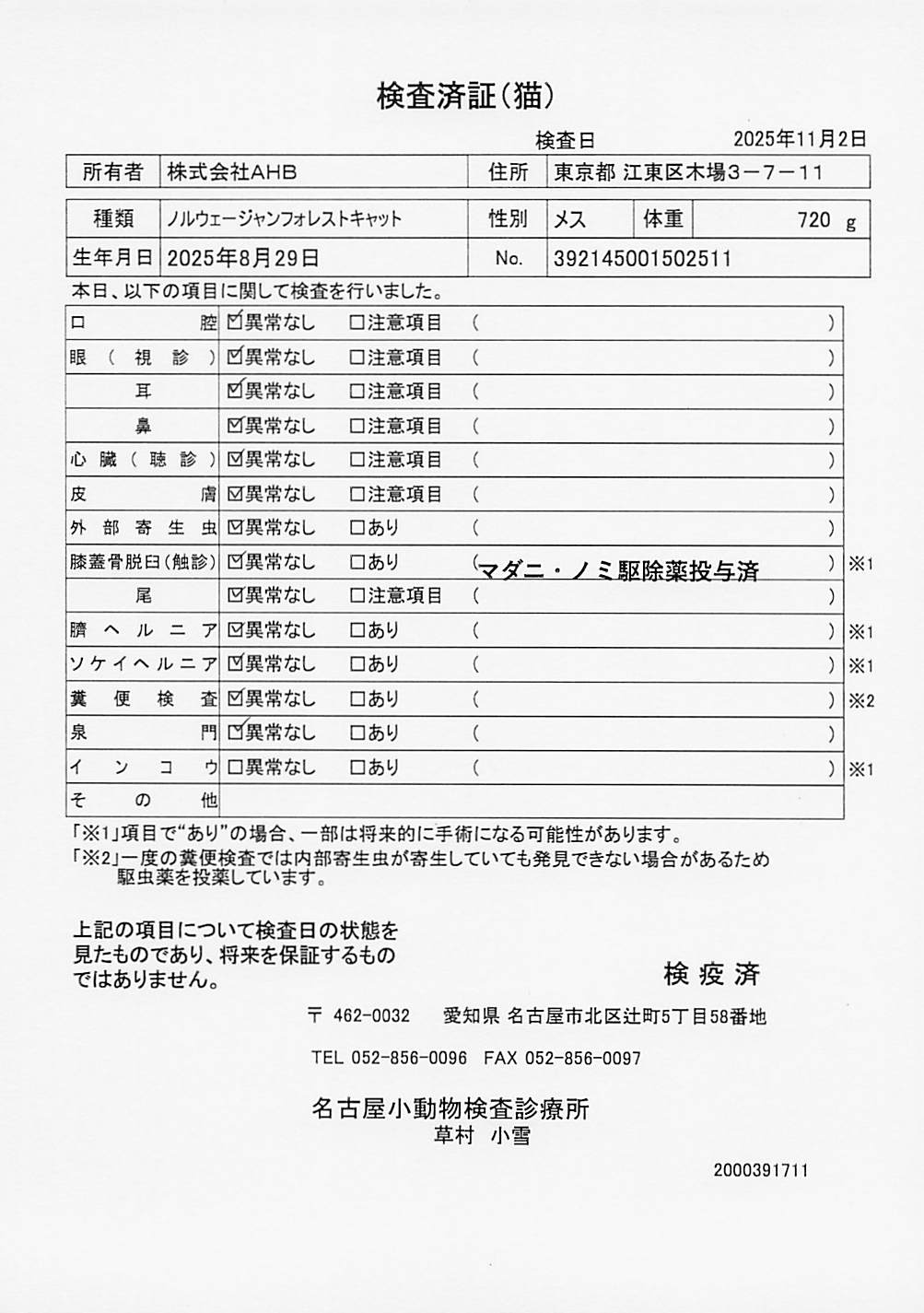 ノルウェージャンフォレストキャット