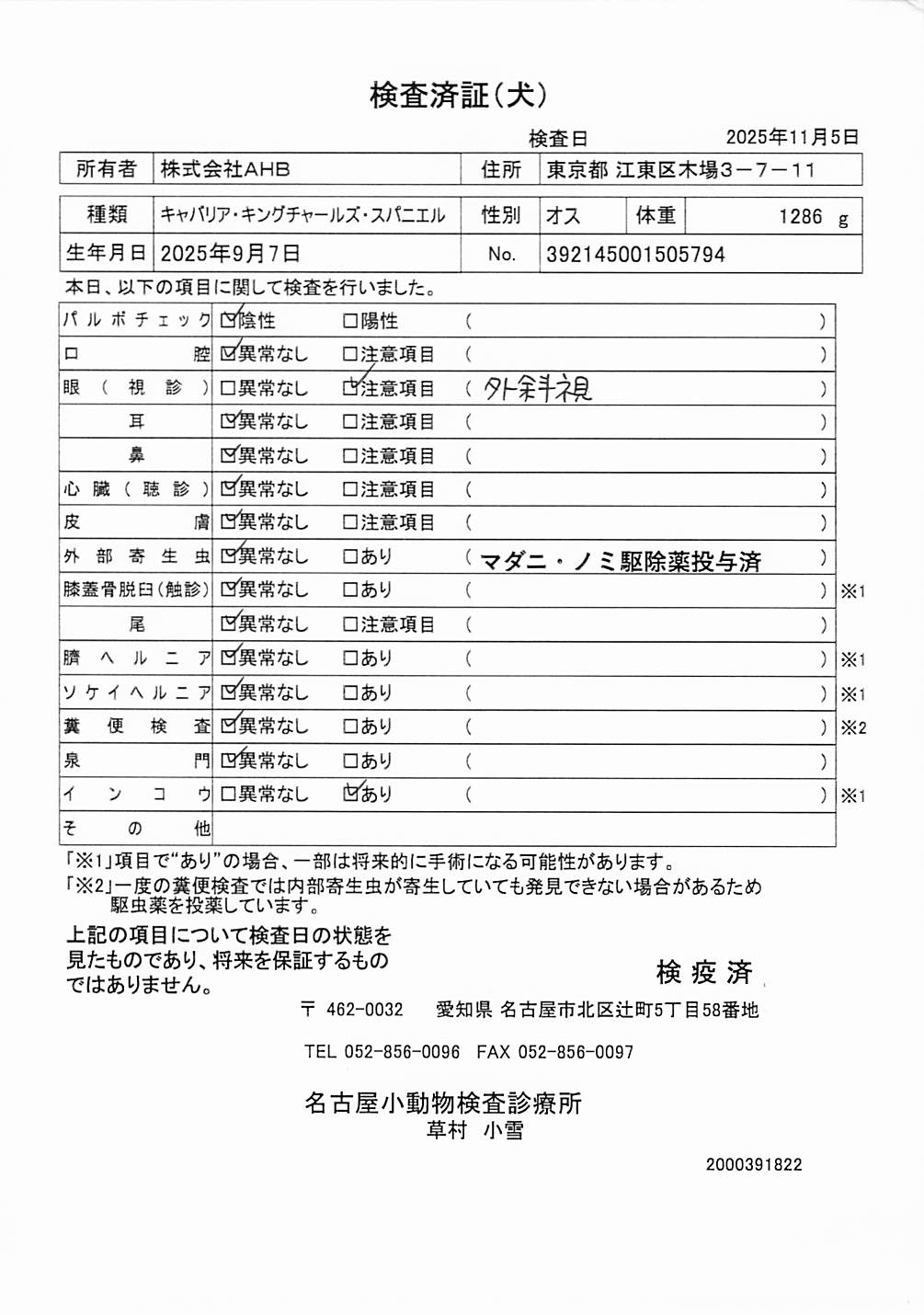 キャバリア・キングチャールズ・スパニエル