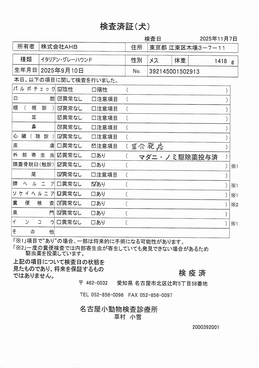 イタリアン・グレーハウンド