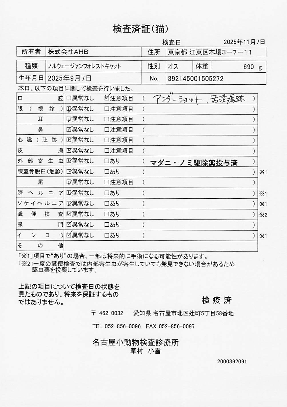 ノルウェージャンフォレストキャット