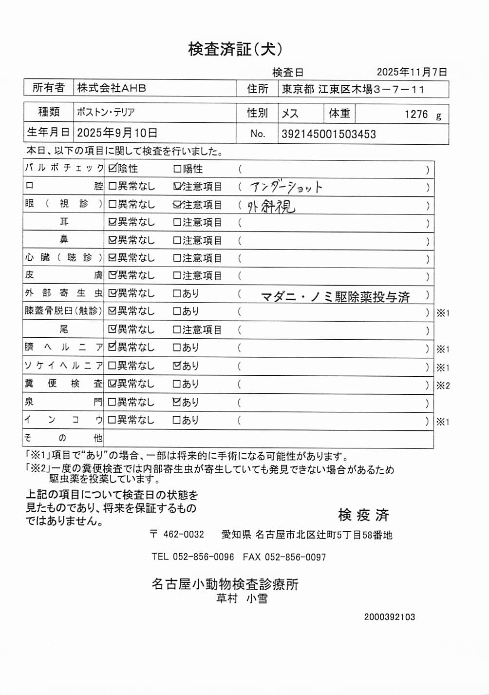 ボストン・テリア