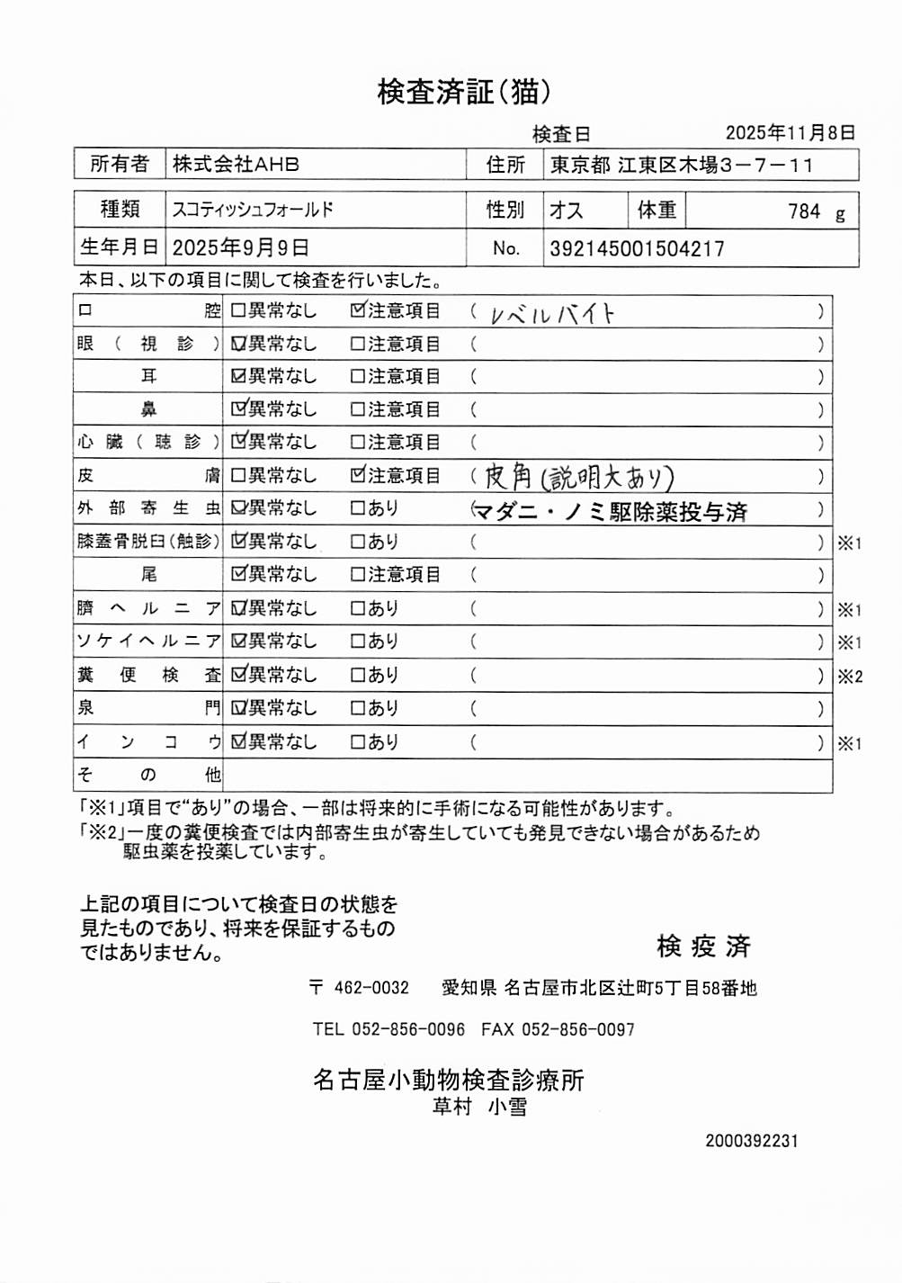 スコティッシュフォールド