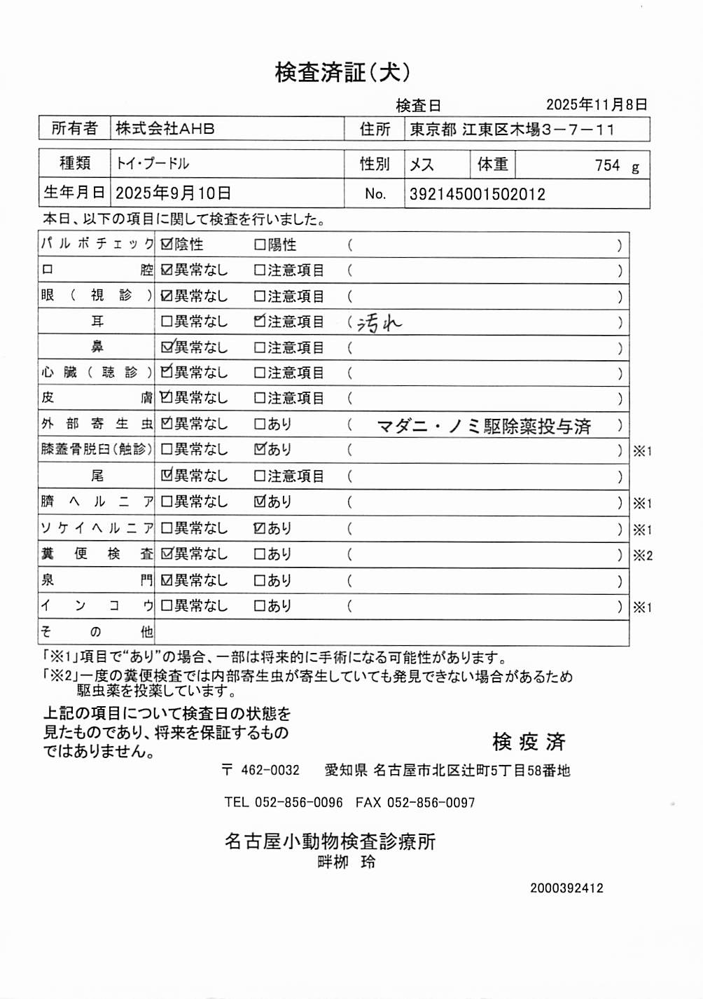 トイ・プードル