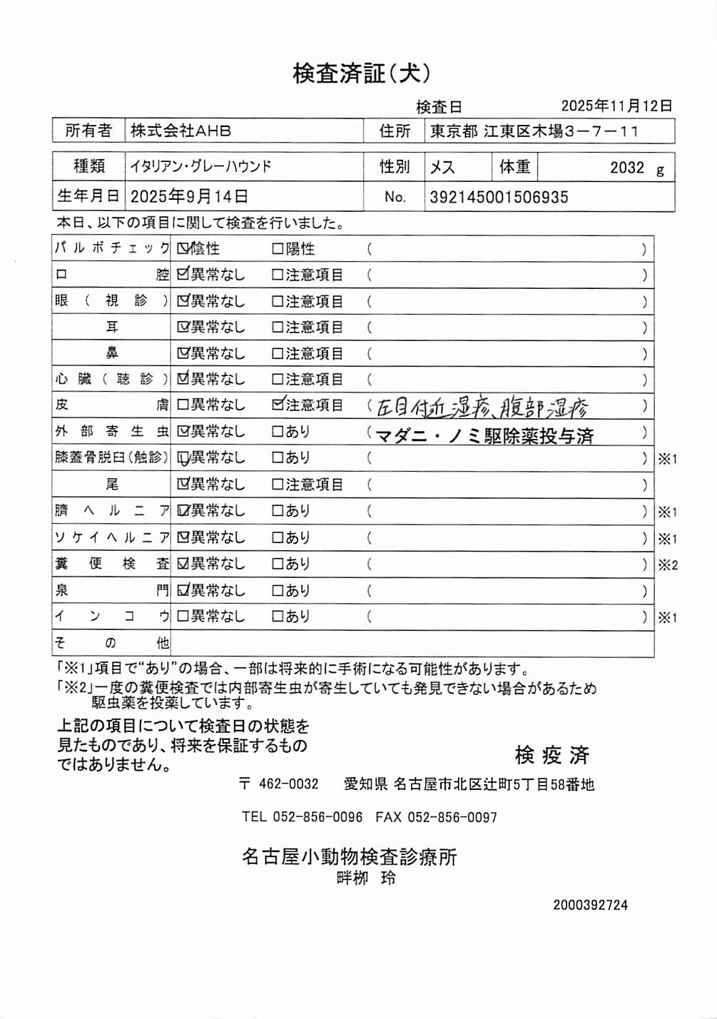 イタリアン・グレーハウンド