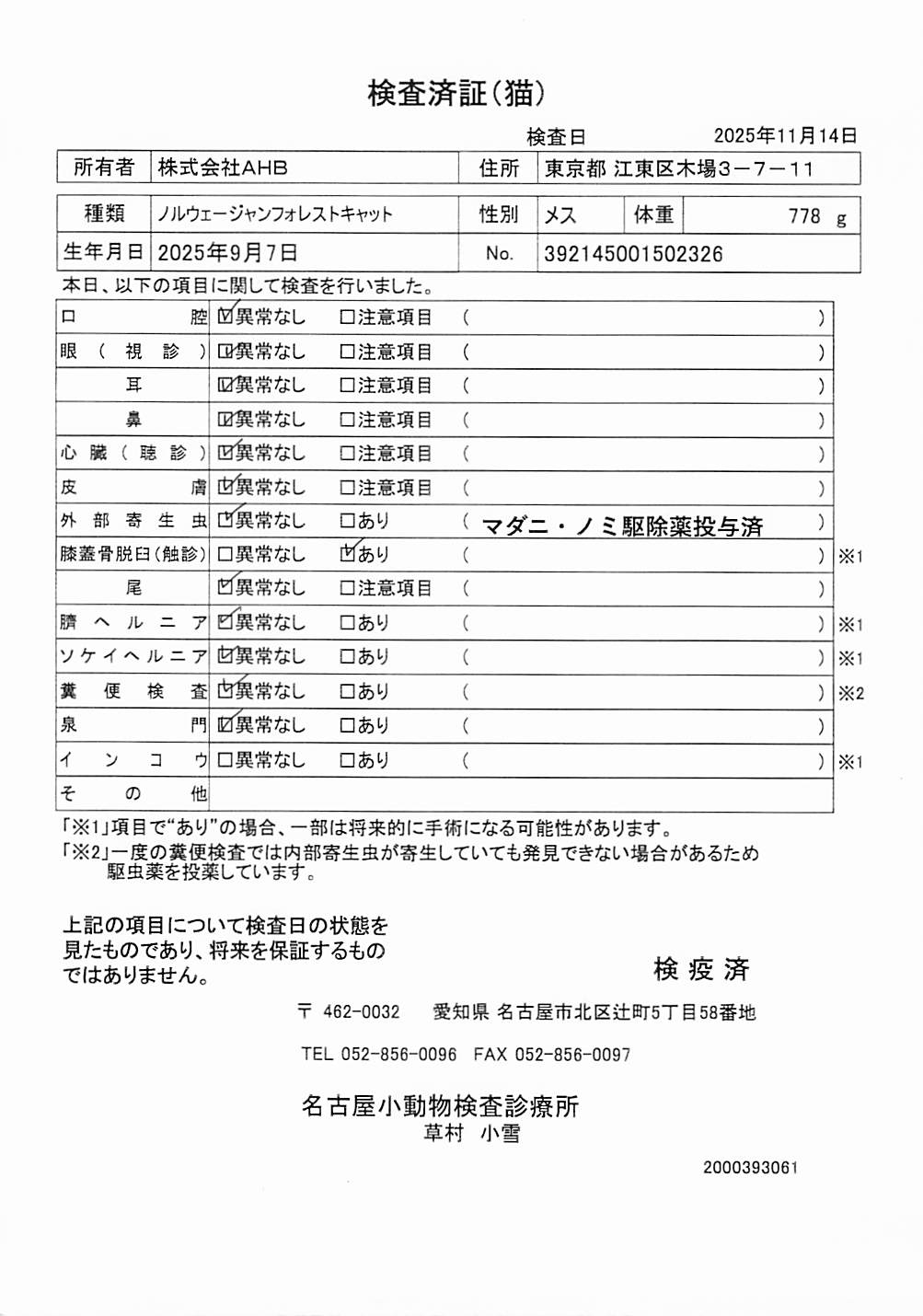 ノルウェージャンフォレストキャット