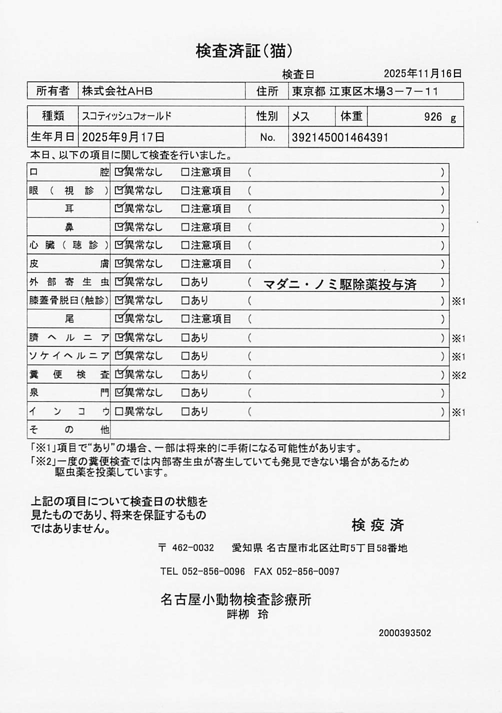 スコティッシュフォールド