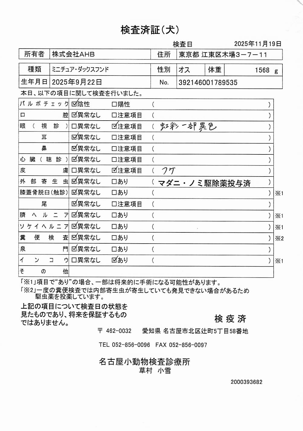 ミニチュア・ダックスフンド