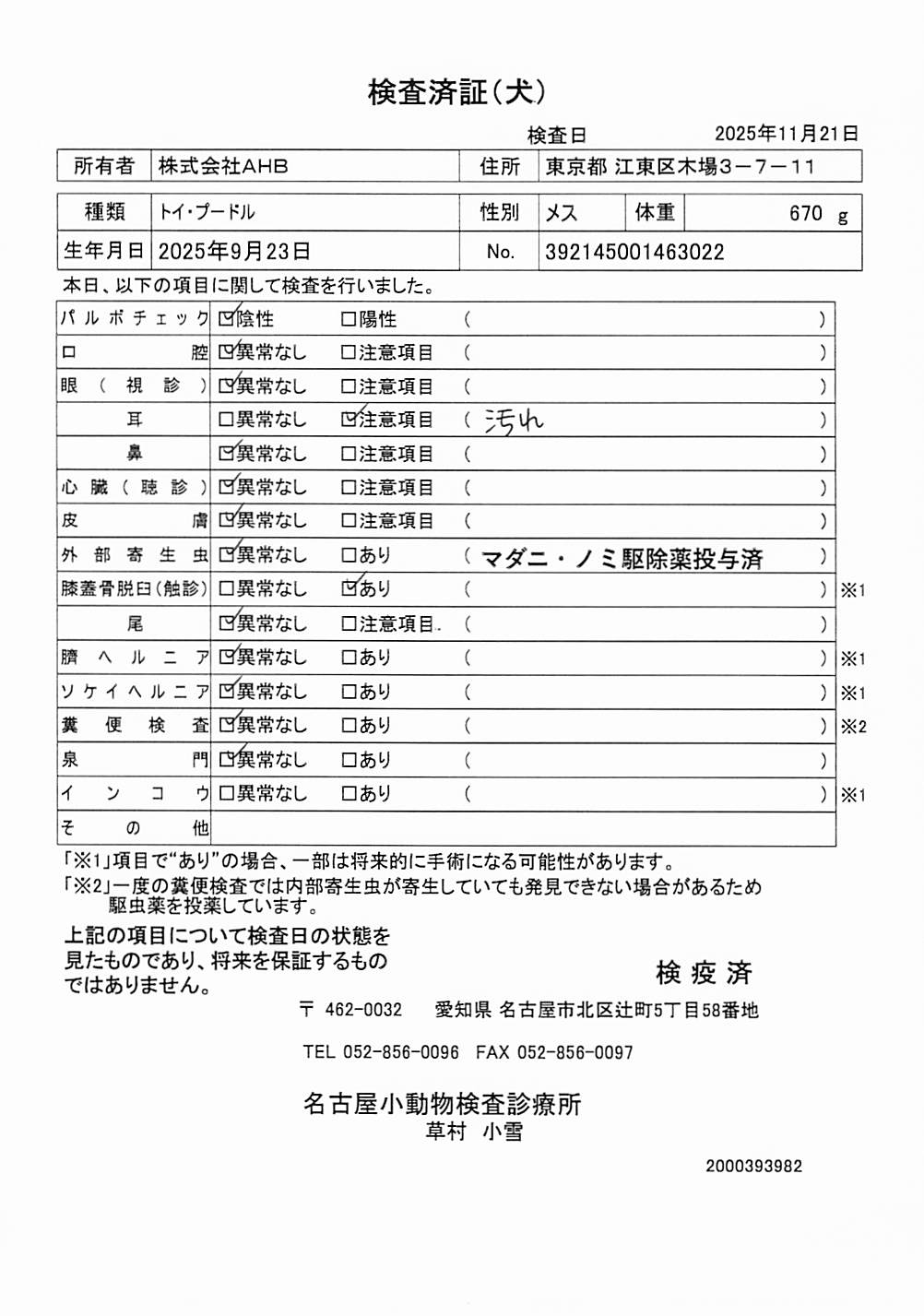 トイ・プードル