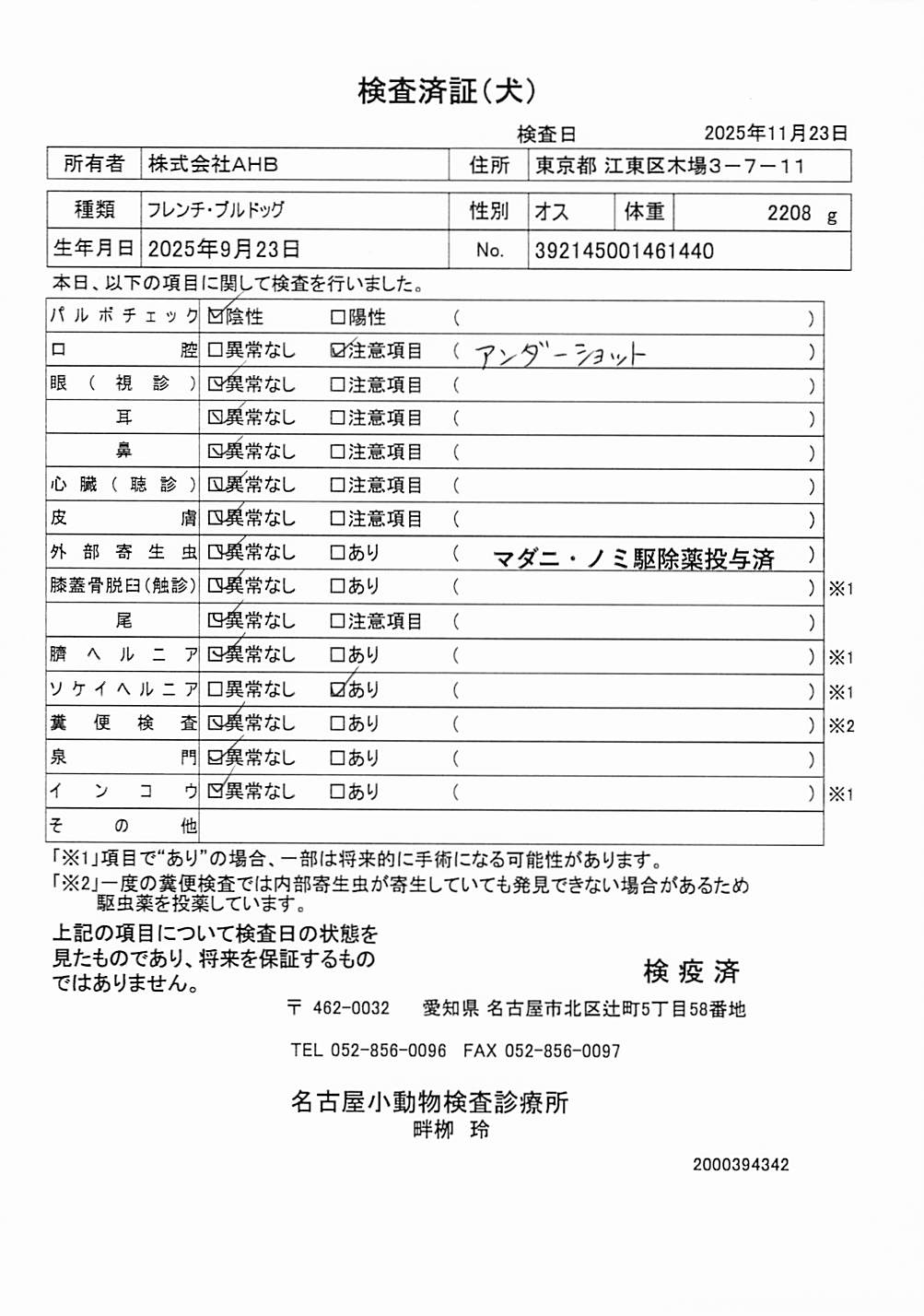 フレンチ・ブルドッグ