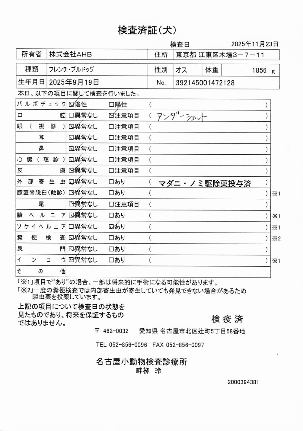 フレンチ・ブルドッグ