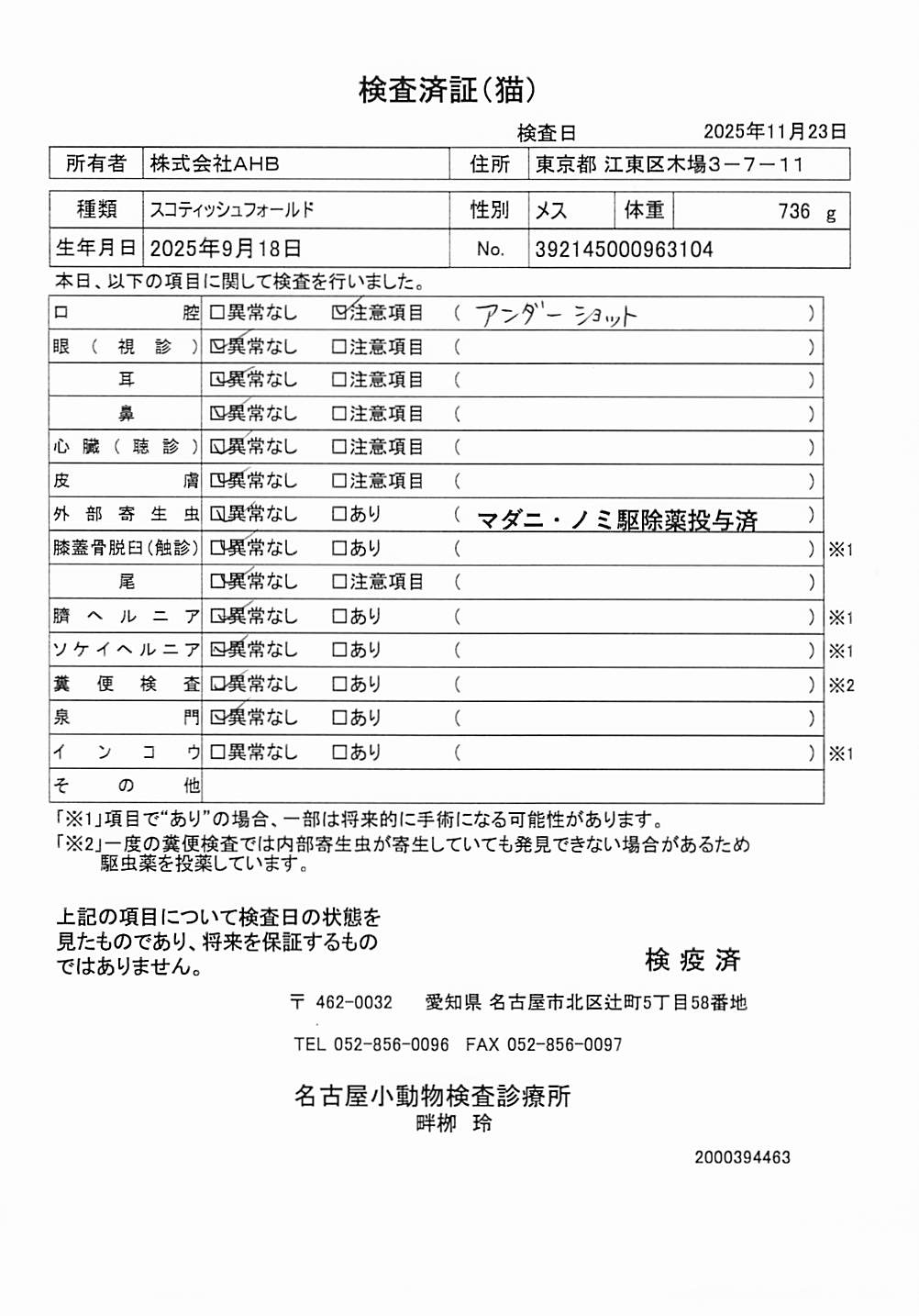 スコティッシュフォールド