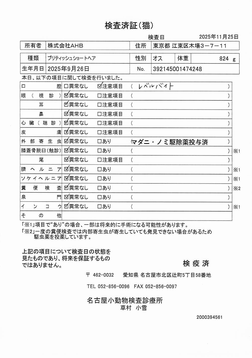 ブリティッシュショートヘア