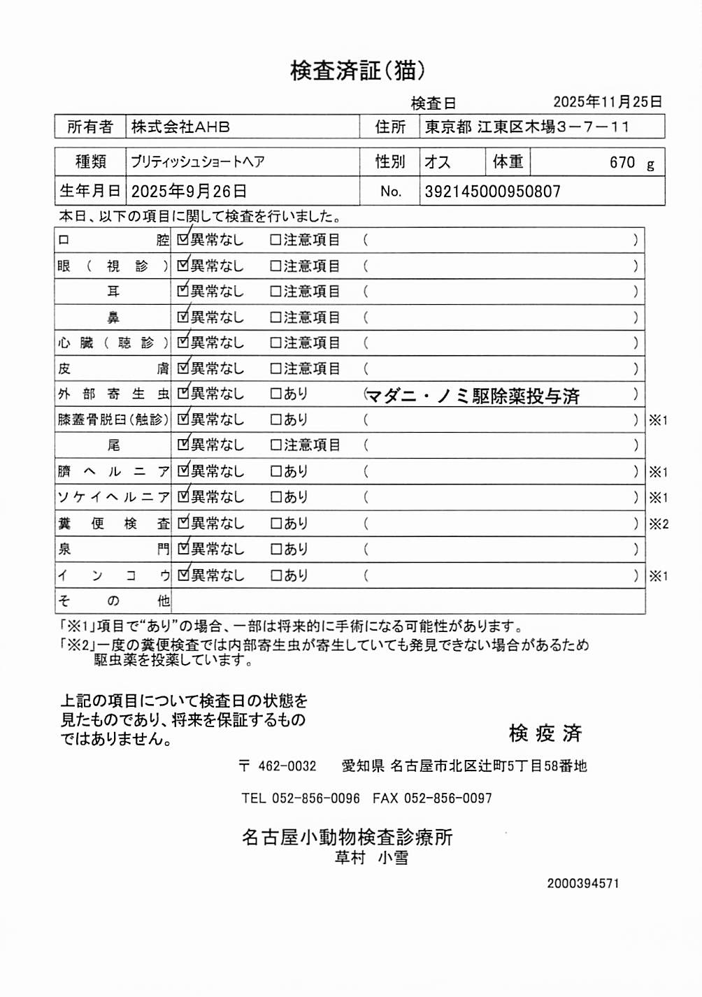 ブリティッシュショートヘア