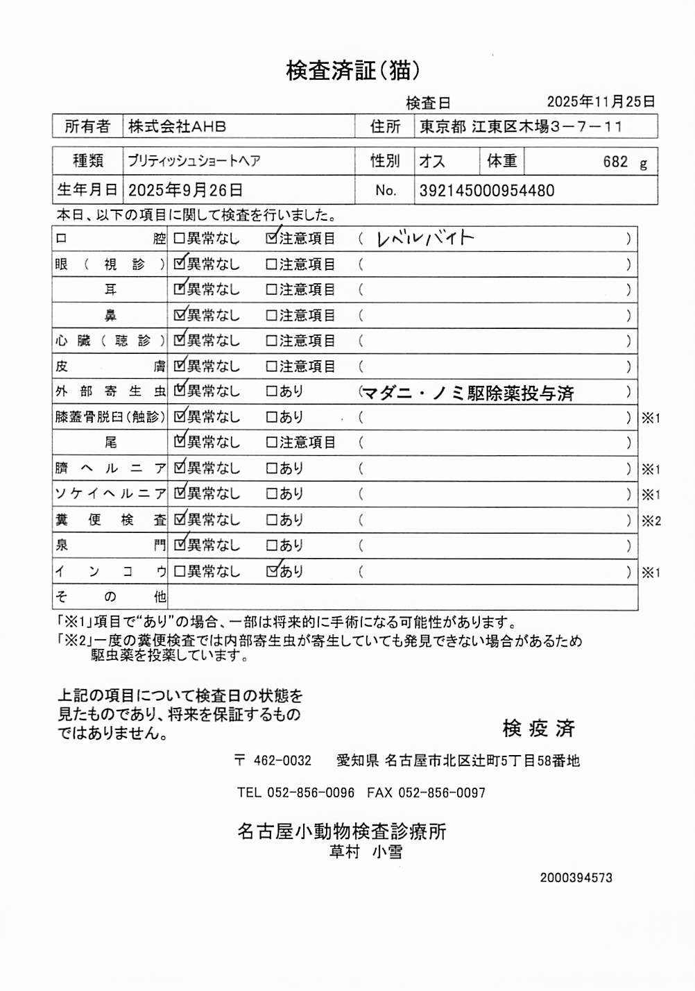 ブリティッシュショートヘア