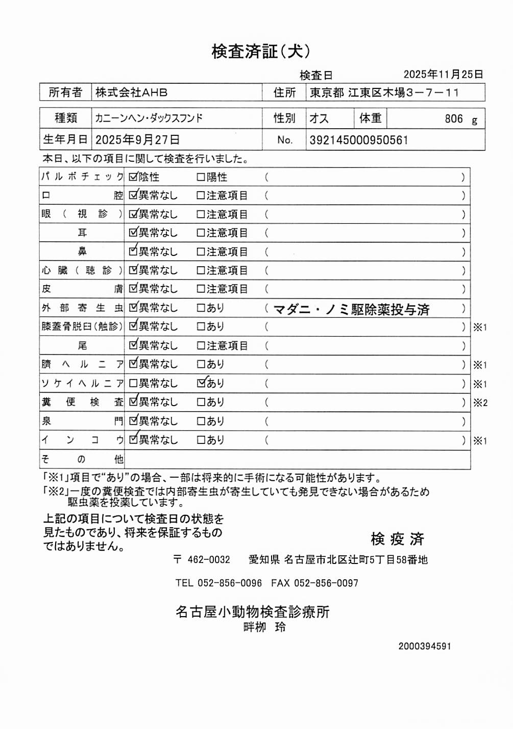 カニーンヘン・ダックスフンド
