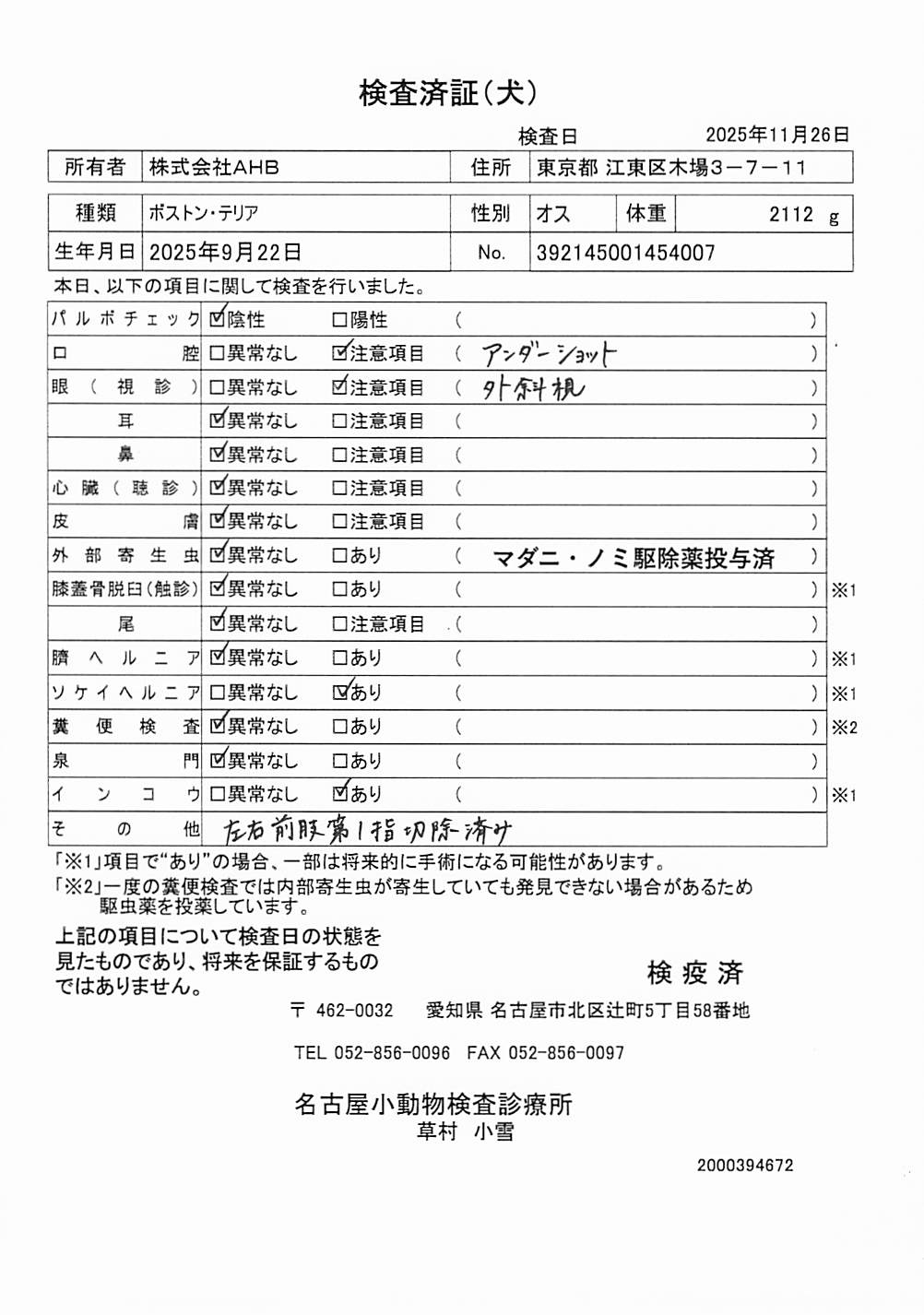 ボストン・テリア