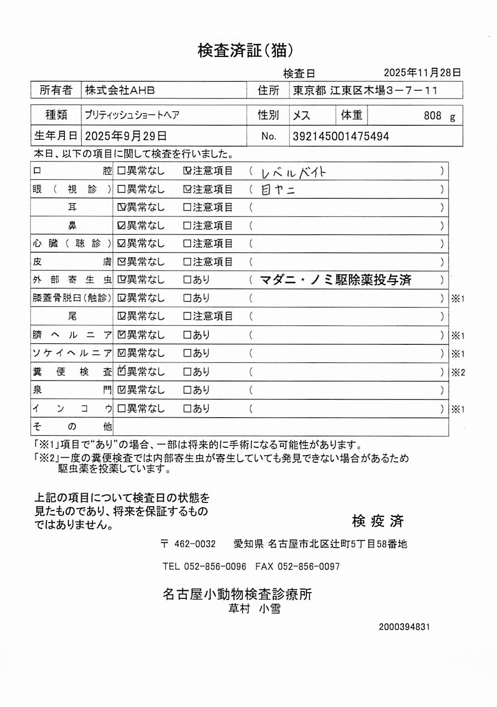 ブリティッシュショートヘア