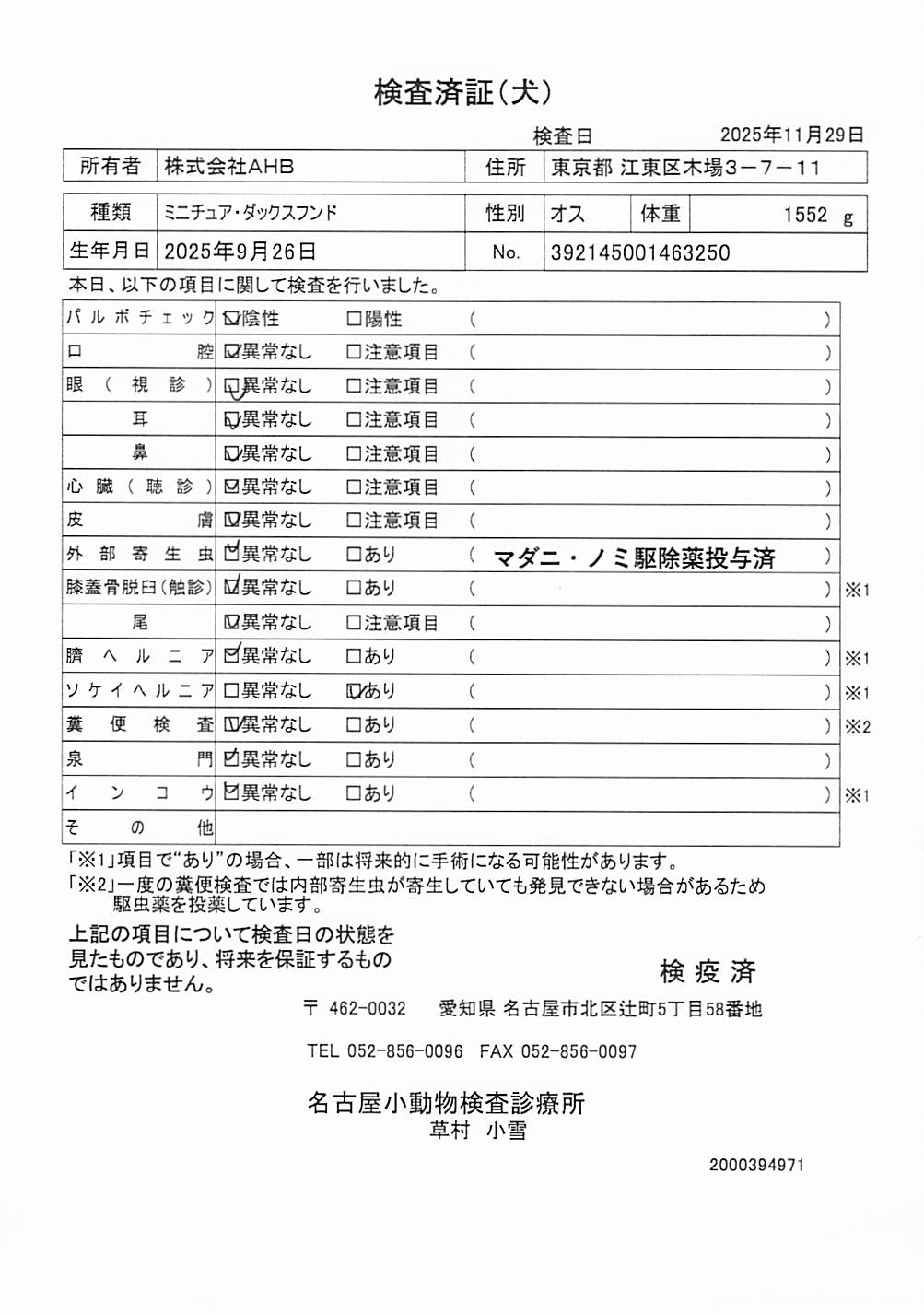 ミニチュア・ダックスフンド