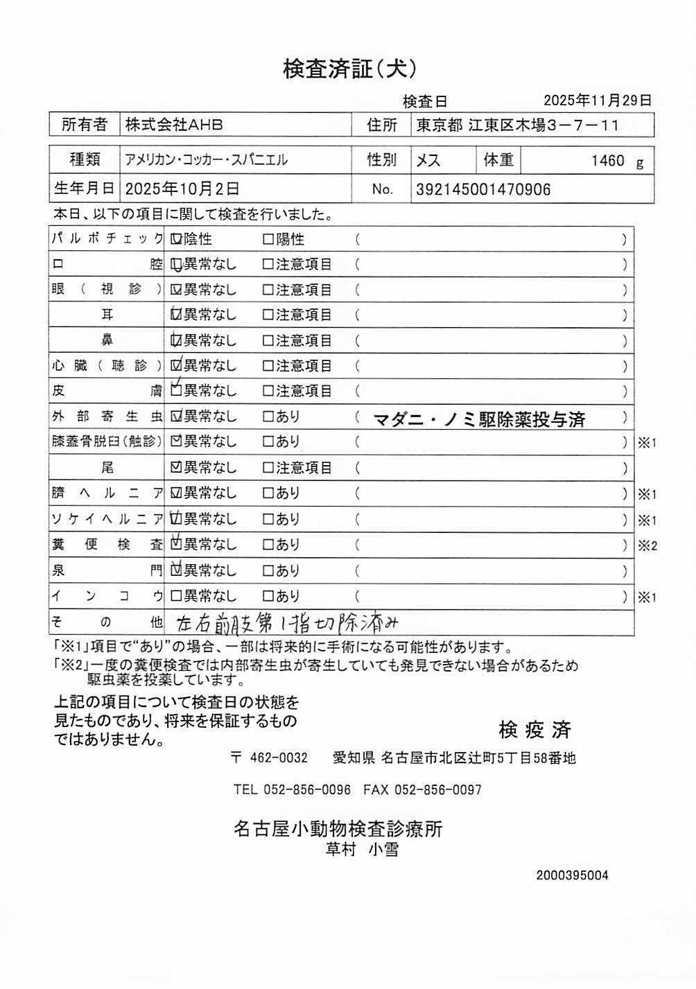 アメリカン・コッカー・スパニエル