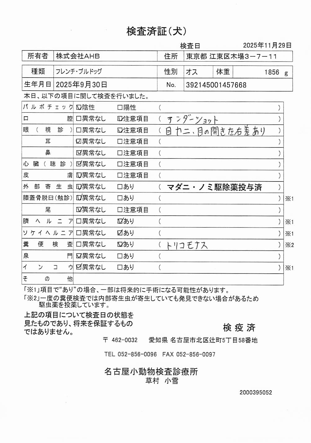 フレンチ・ブルドッグ