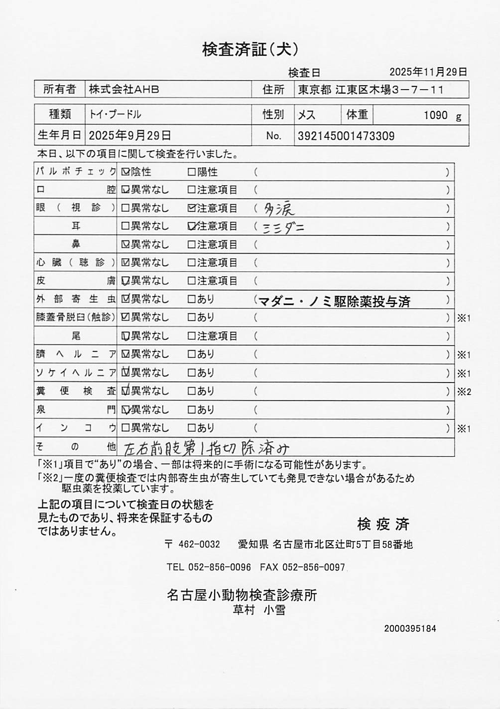 トイ・プードル