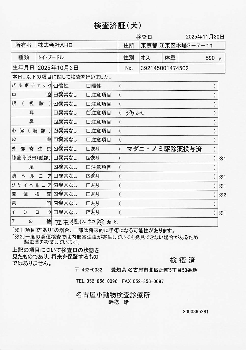 トイ・プードル