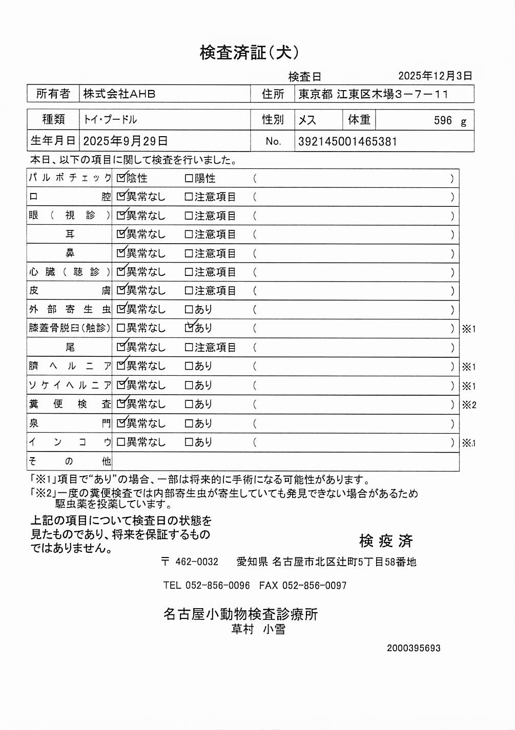 トイ・プードル