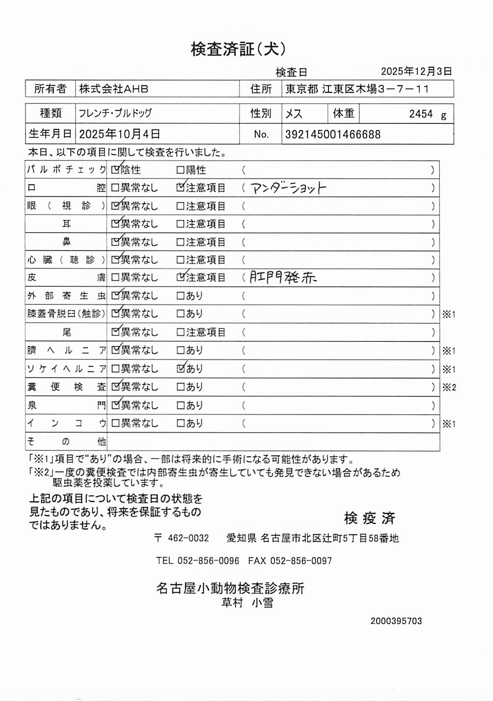 フレンチ・ブルドッグ