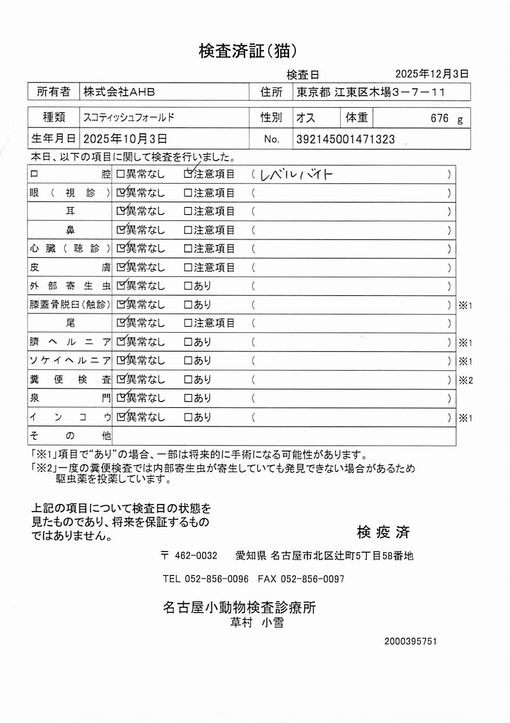 スコティッシュフォールド