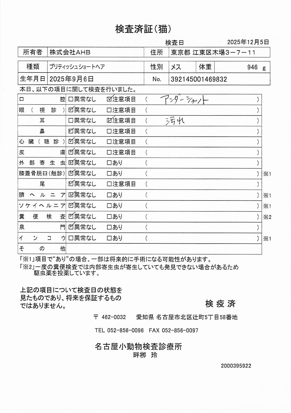 ブリティッシュショートヘア