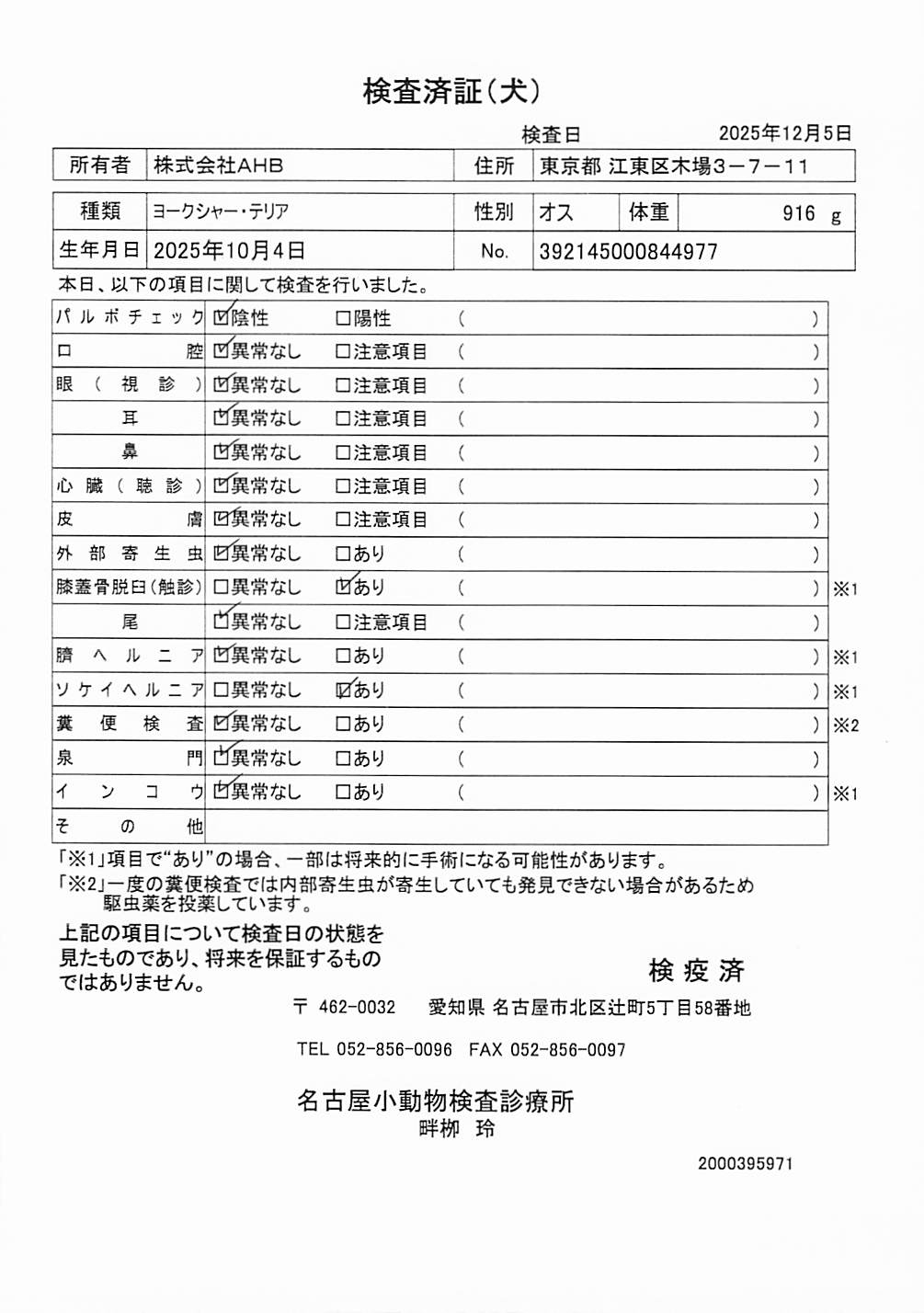 ヨークシャー・テリア