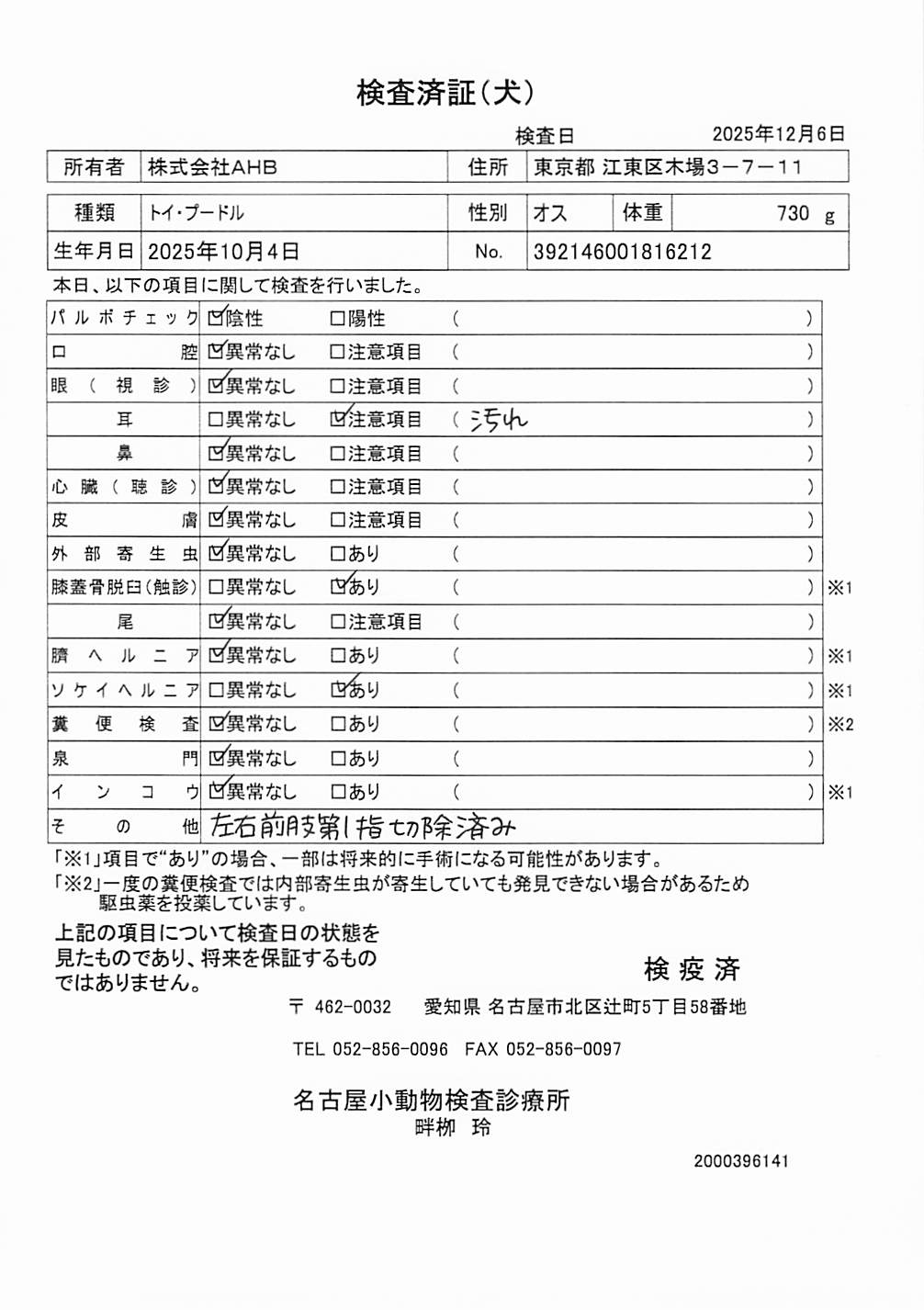 トイ・プードル