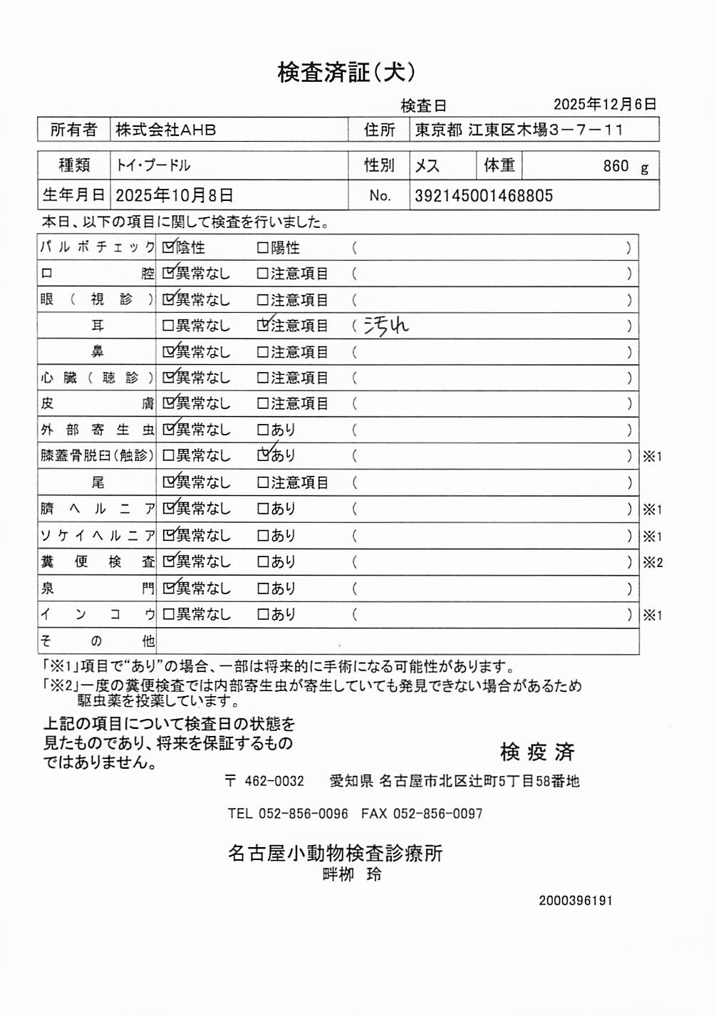 トイ・プードル