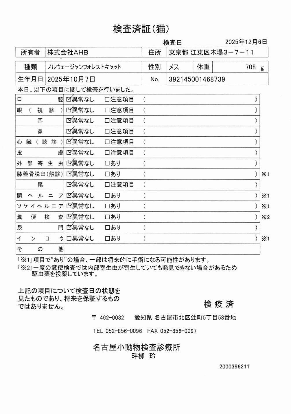 ノルウェージャンフォレストキャット