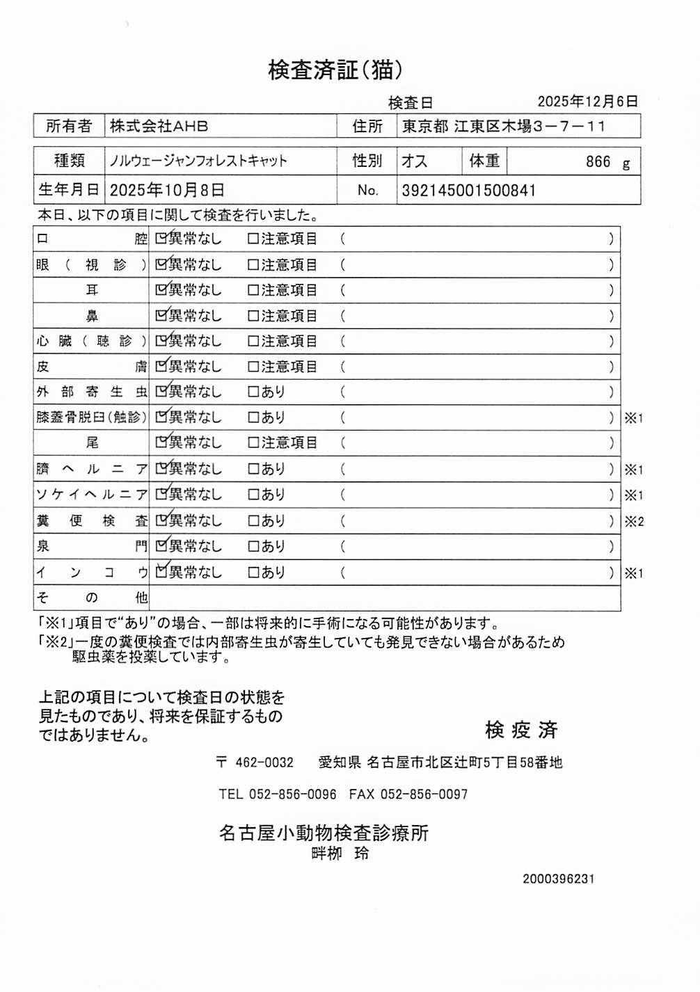 ノルウェージャンフォレストキャット