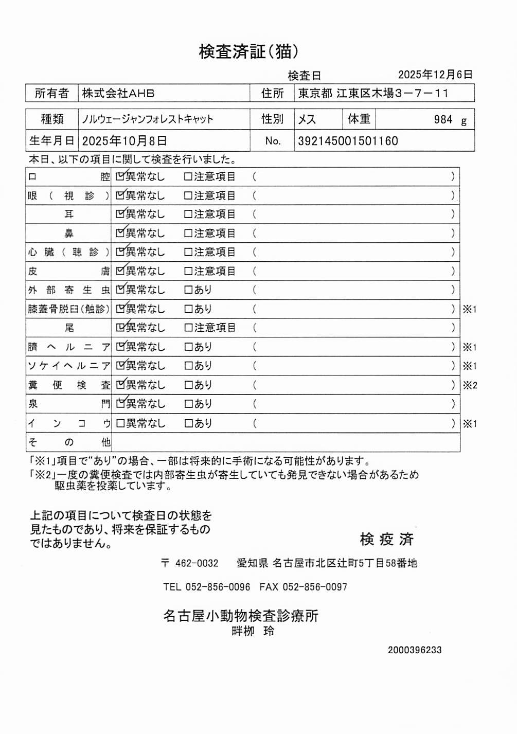 ノルウェージャンフォレストキャット