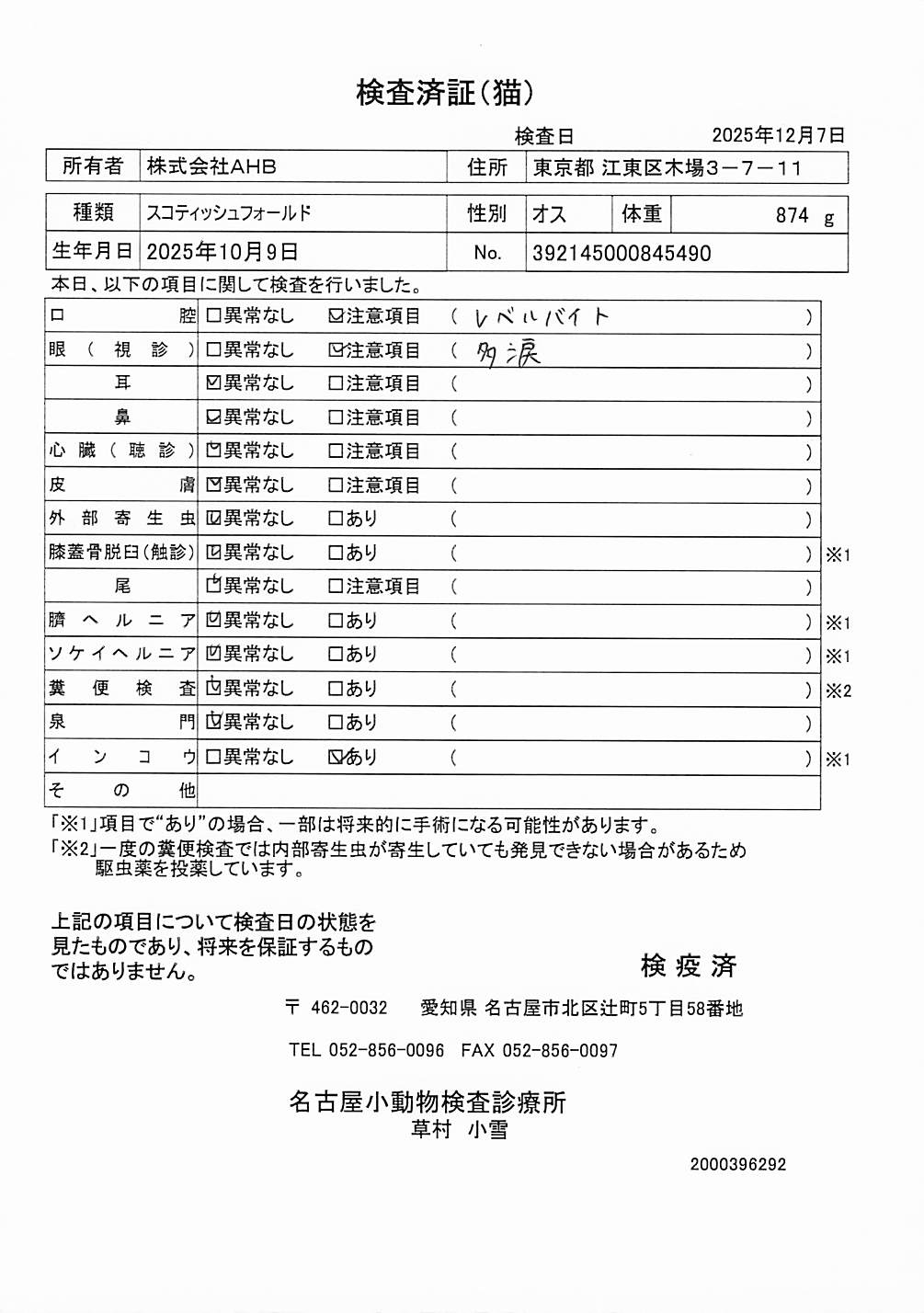 スコティッシュフォールド