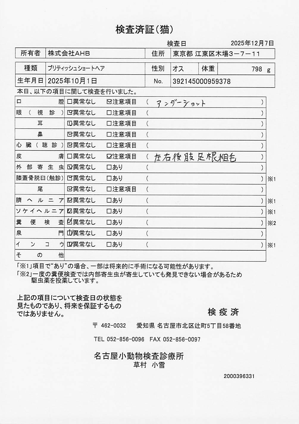 ブリティッシュショートヘア