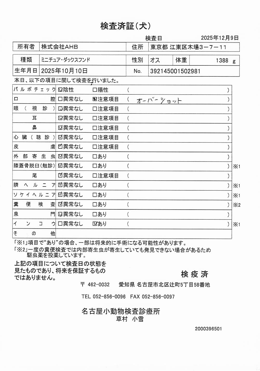 ミニチュア・ダックスフンド
