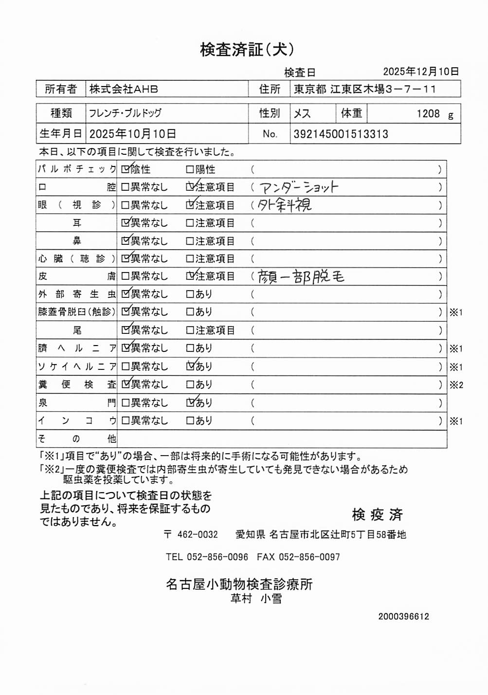 フレンチ・ブルドッグ