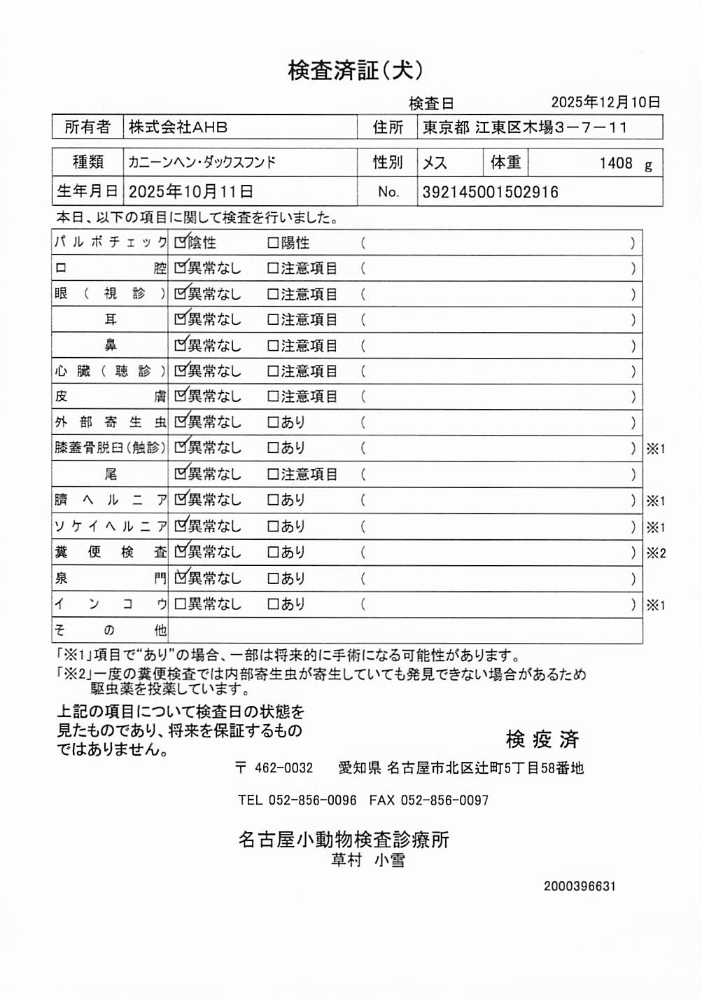 カニーンヘン・ダックスフンド