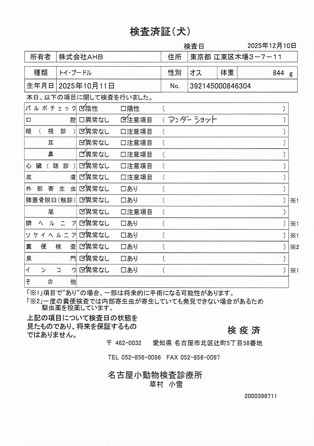 トイ・プードル