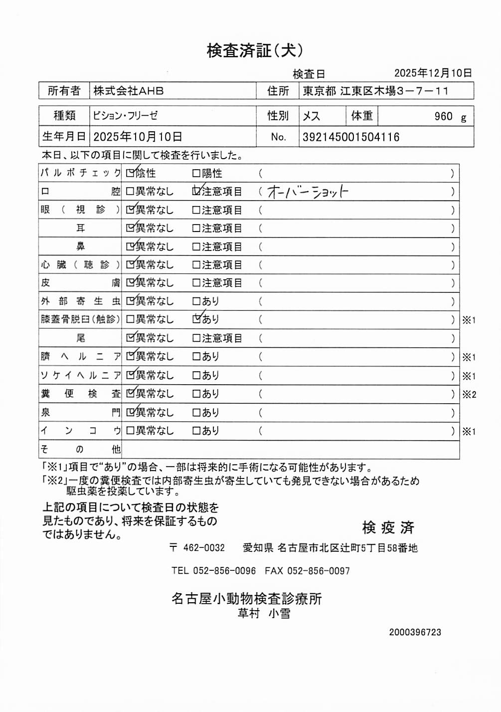 ビション・フリーゼ